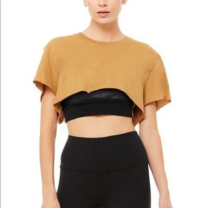 Alo Yoga Cropped Short Sleeve Top NWT